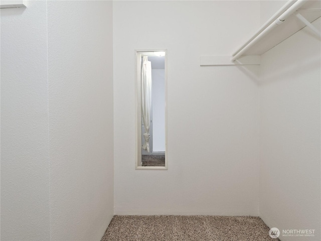4350 W Lake Sammamish Pkwy SE Unit 133, Issaquah, WA 98027 - spacious closet featuring carpet floors