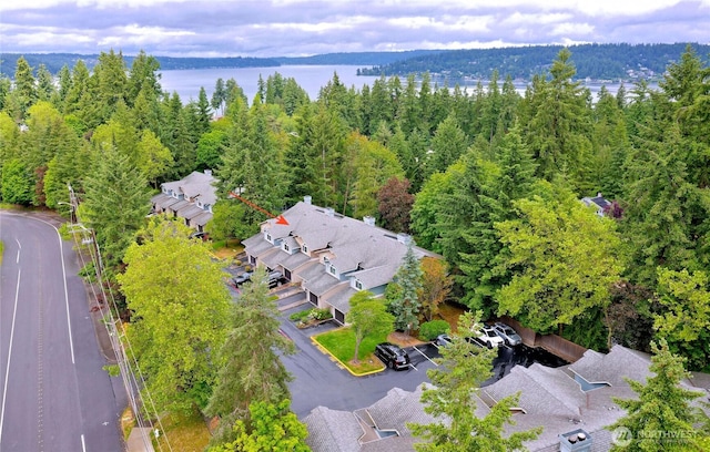 4350 W Lake Sammamish Pkwy SE Unit 133, Issaquah, WA 98027 - aerial view of residential area with a heavily wooded area and a large body of water