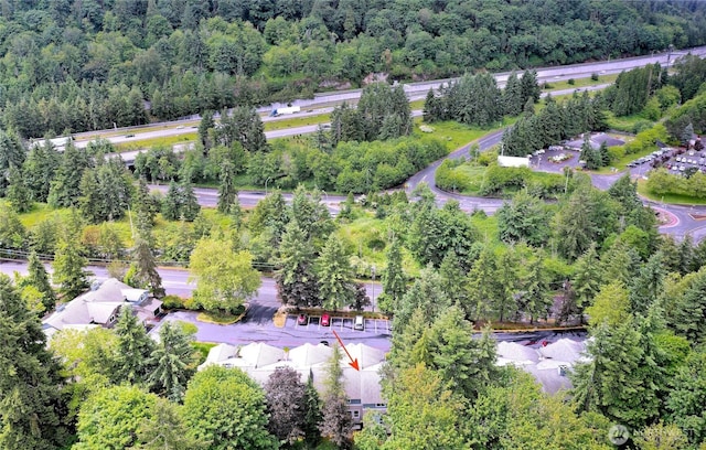 4350 W Lake Sammamish Pkwy SE Unit 133, Issaquah, WA 98027 - aerial view of a forest
