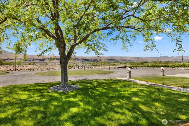 26619 Rd U SW, Mattawa, WA 99349 - photo 3