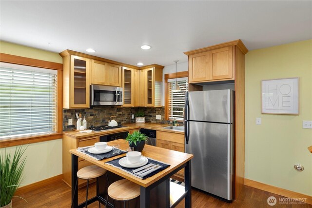 kitchen featuring backsplash, stainless steel appliances, baseboards, and dark wood-style floors