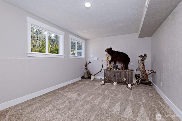bedroom with baseboards, carpet floors, a textured ceiling, and multiple windows