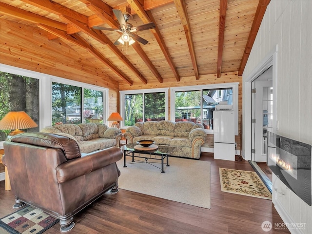 living area with plenty of natural light, lofted ceiling with beams, ceiling fan, and dark wood-type flooring