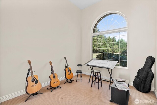 41 Gray Gables Ln, Hoquiam, WA 98550 - miscellaneous room with carpet floors, healthy amount of natural light, and baseboards