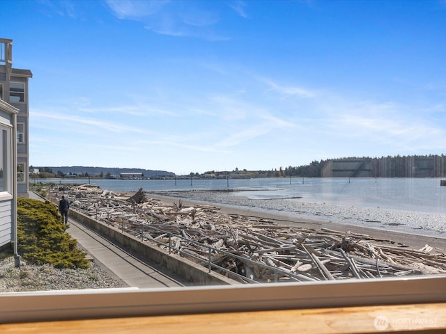 water view with a view of the beach