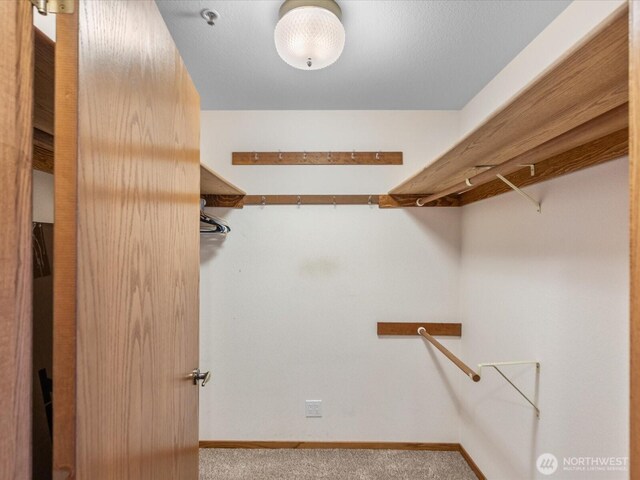 walk in closet featuring carpet