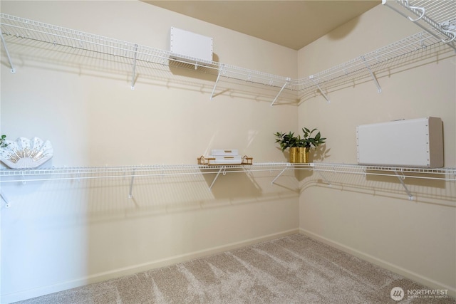 17288 NE 120th Way, Redmond, WA 98052 - spacious closet with carpet