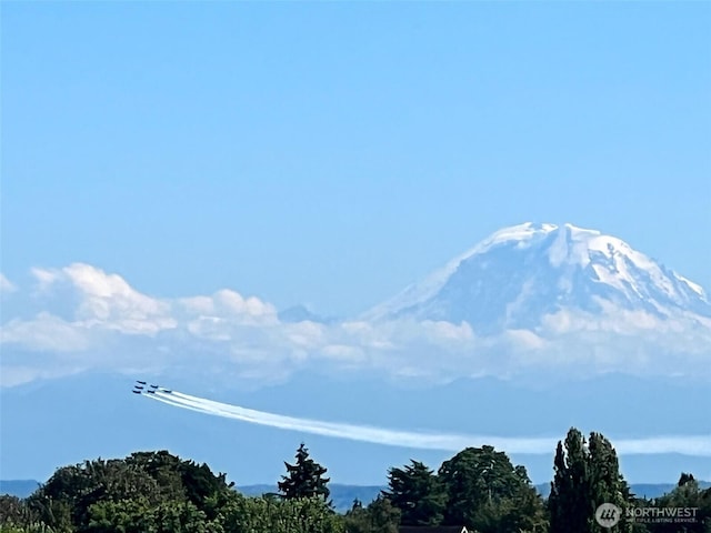 view of mountain feature