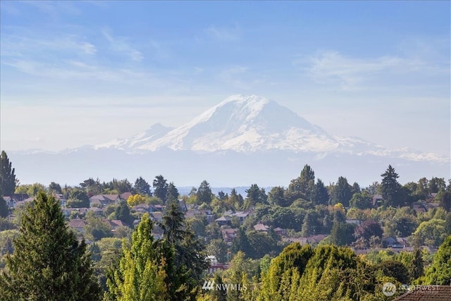 view of mountain feature