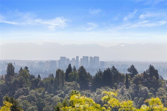 mountain view featuring a forest view