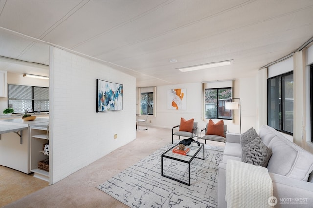 living room featuring carpet flooring