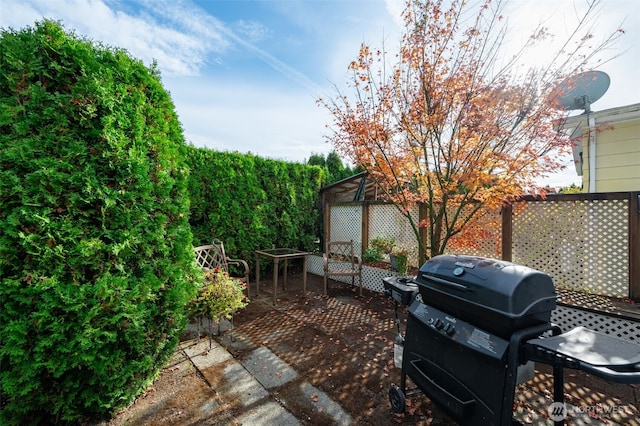 view of patio / terrace with area for grilling