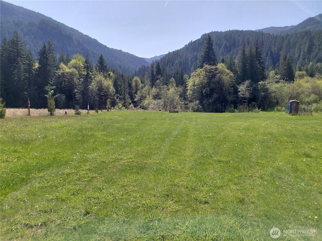 0LOTA-9 Pompey Peak Dr, Randle, WA 98377