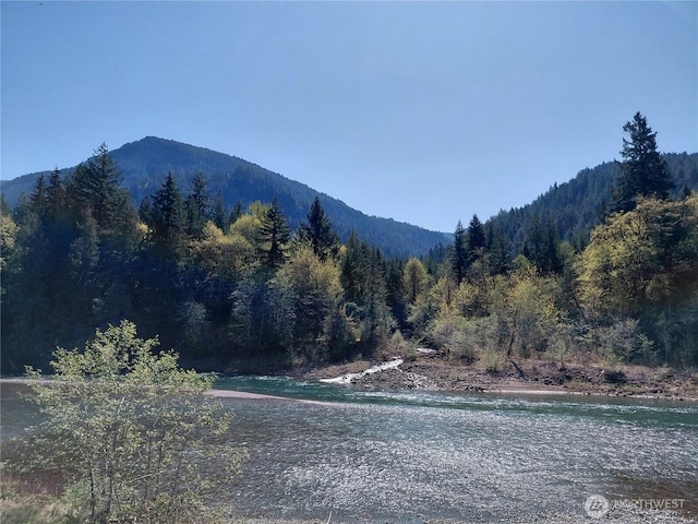 0LOTA-9 Pompey Peak Dr, Randle, WA 98377