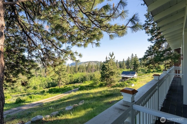 44 Alpine Ln, Okanogan, WA 98840 - view of yard featuring a view of trees