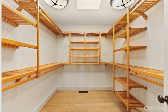 44 Alpine Ln, Okanogan, WA 98840 - walk in closet with wood finished floors and a skylight