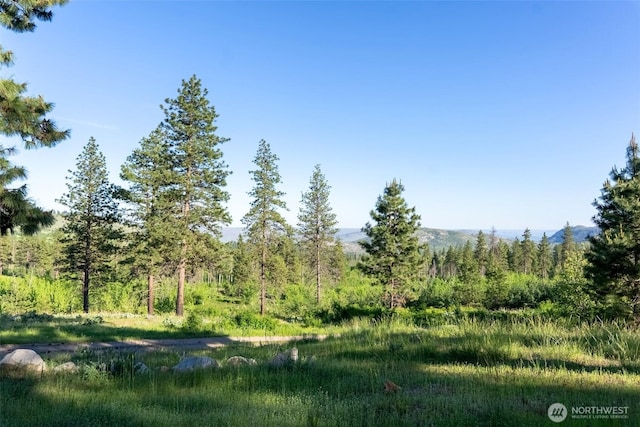 44 Alpine Ln, Okanogan, WA 98840 - view of tree filled area with a mountain view