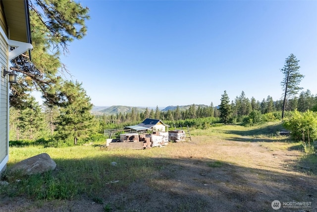 44 Alpine Ln, Okanogan, WA 98840 - view of yard with a mountain view
