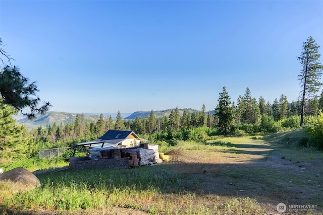 44 Alpine Ln, Okanogan, WA 98840 - view of yard featuring a mountain view and a view of trees