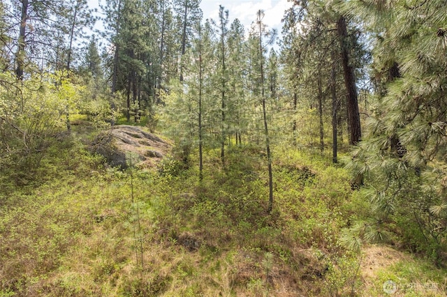 view of local wilderness with a forest view