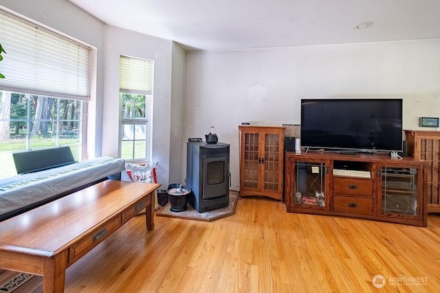 living room featuring wood finished floors and a wood stove
