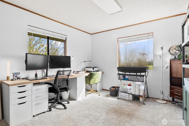 5752 Ronnie Hill Ln, Ferndale, WA 98248 - home office featuring light carpet, ornamental molding, and a textured ceiling