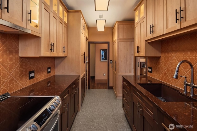 kitchen with a sink, tasteful backsplash, stainless steel electric stove, and dark stone countertops