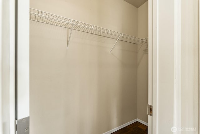 spacious closet featuring dark wood-style floors