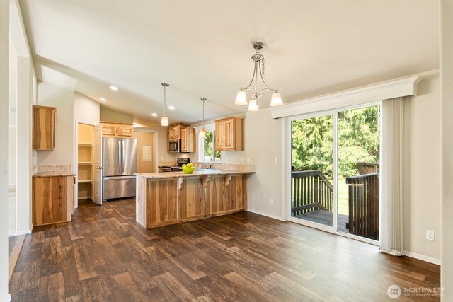 kitchen with stainless steel appliances, a peninsula, a healthy amount of sunlight, and dark wood-style flooring