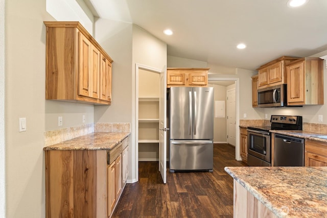 kitchen with recessed lighting, lofted ceiling, dark wood-style floors, stainless steel appliances, and baseboards