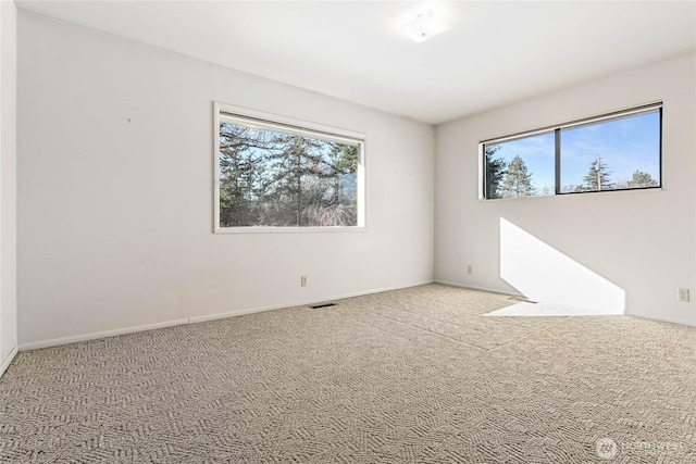 3884 Fort Bellingham Rd, Bellingham, WA 98225 - empty room featuring baseboards, visible vents, and carpet floors