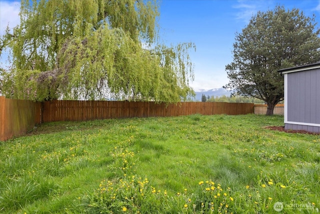 view of yard featuring a fenced backyard