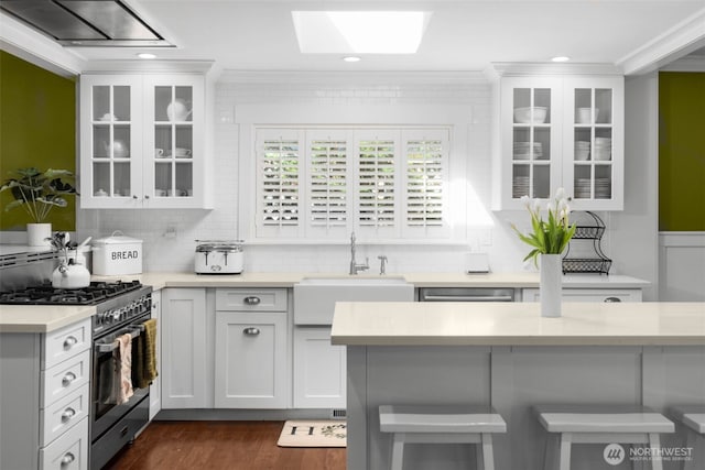 245 SE Bush St, Issaquah, WA 98027 - kitchen featuring stainless steel range with gas stovetop, a sink, light countertops, crown molding, and tasteful backsplash
