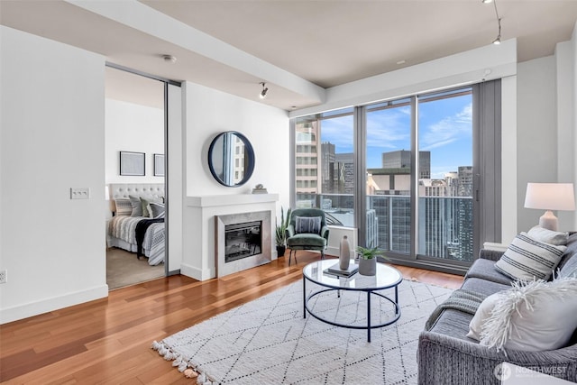 737 Olive Way Unit 3101, Seattle, WA 98101 - living area with a city view, wood finished floors, a fireplace, and baseboards