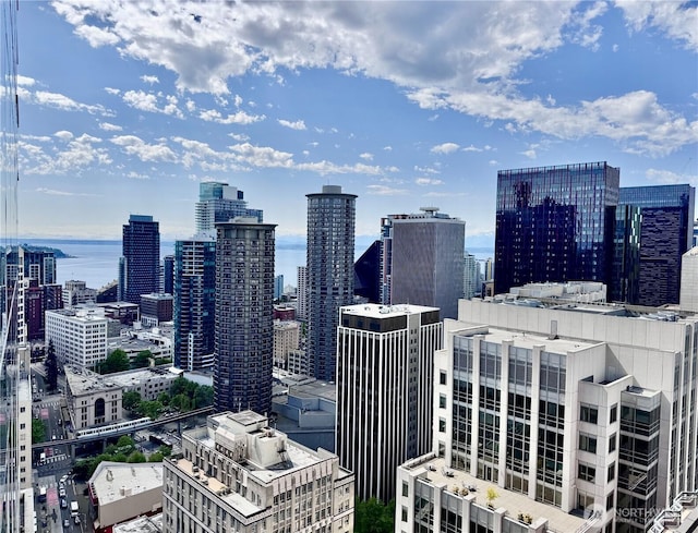 737 Olive Way Unit 3101, Seattle, WA 98101 - skyline view