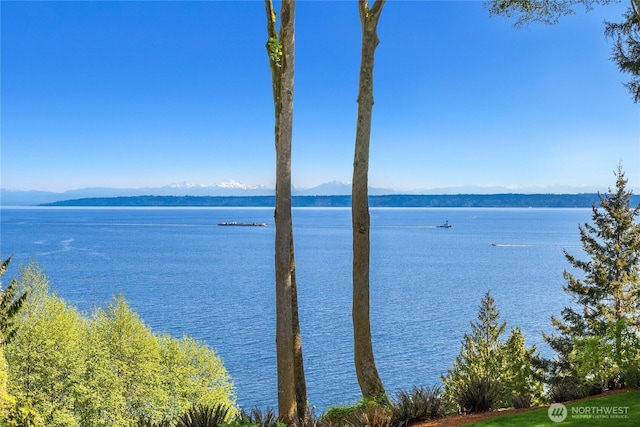 property view of water featuring a mountain view