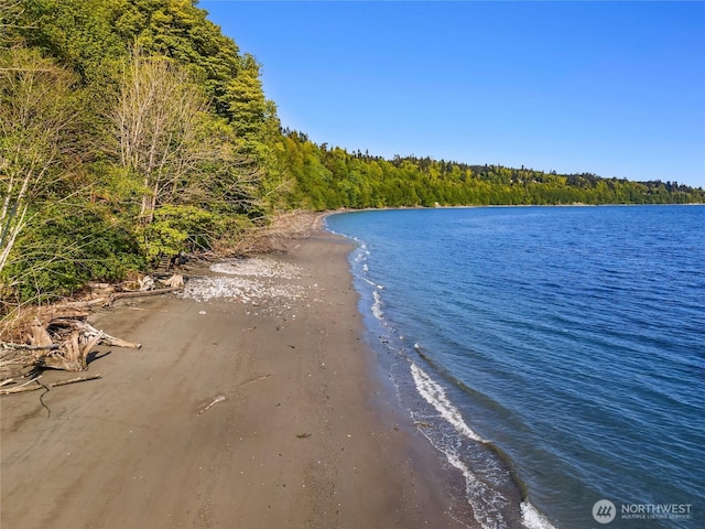 water view with a forest view