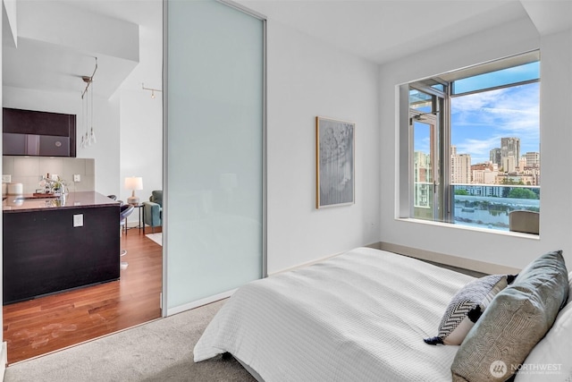 bedroom featuring multiple windows, carpet, a view of skyline, and a closet