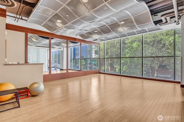 workout room with a wall of windows and wood finished floors