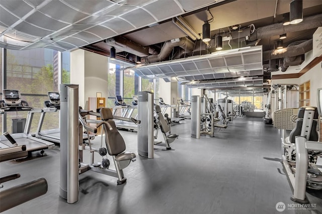 exercise room featuring expansive windows