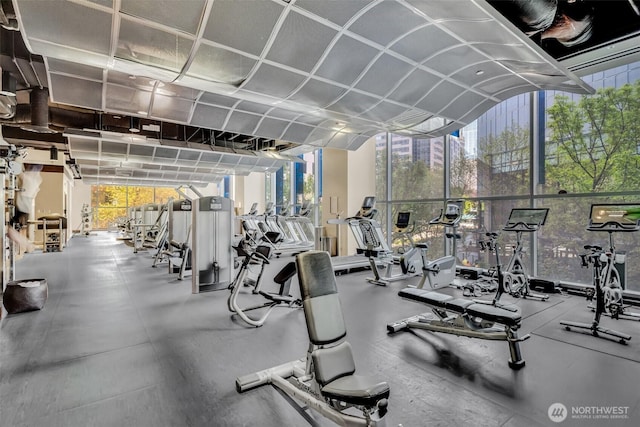 exercise room featuring floor to ceiling windows