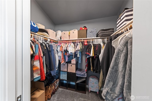 walk in closet featuring vaulted ceiling and carpet