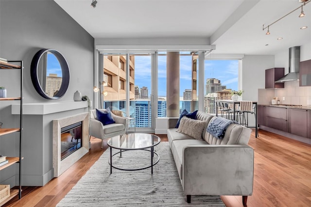 living room featuring a city view, a high end fireplace, and light wood-style floors