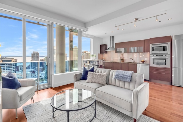 living room featuring light wood-style floors and a view of city