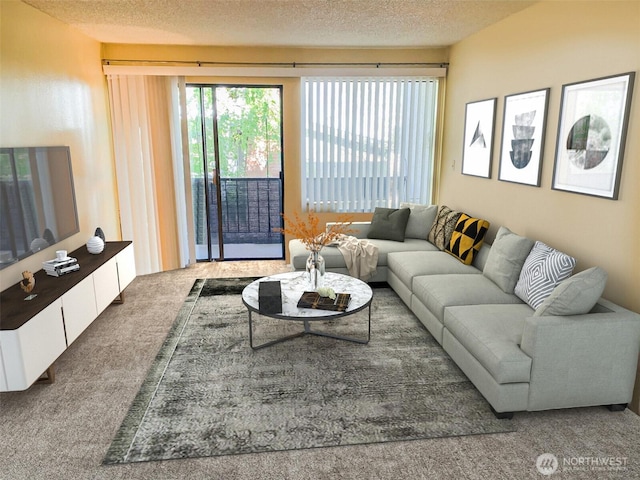 6110 24th Ave NW Unit 203, Seattle, WA 98107 - carpeted living room with a textured ceiling