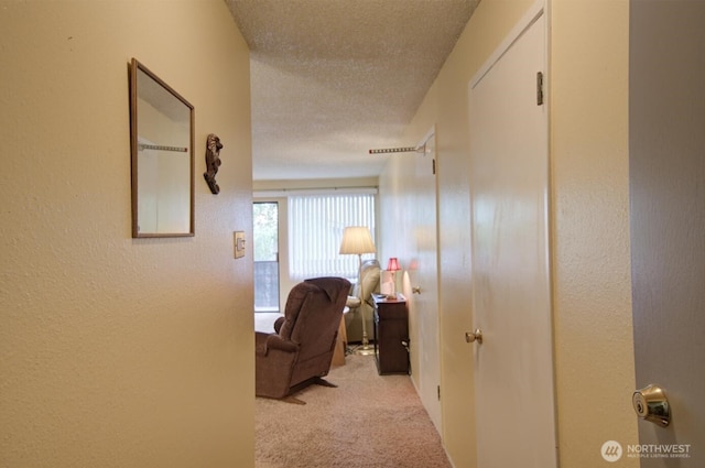6110 24th Ave NW Unit 203, Seattle, WA 98107 - hall with a textured ceiling, carpet flooring, and a textured wall