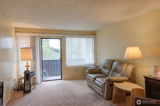 6110 24th Ave NW Unit 203, Seattle, WA 98107 - carpeted living area featuring a textured ceiling