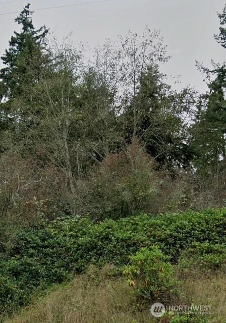 4434 Pacific Dogwood Dr, Freeland WA, 98249 land for sale