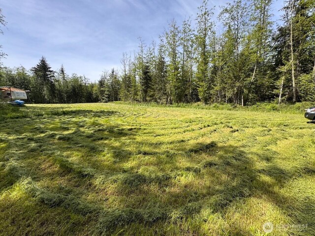 4434 Pacific Dogwood Dr, Freeland, WA 98249 - photo 1