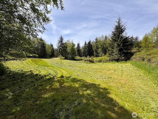 4434 Pacific Dogwood Dr, Freeland, WA 98249 - photo 3